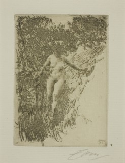 Brushwood, 1911. Creator: Anders Leonard Zorn.