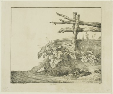 Landscape with Flora and Rustic Fence near Roadside, n.d. Creator: Lorenz Ekemann Alesson.