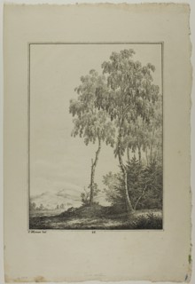 Plate 25 from Blatt Baum und Landschafts Studien, c.1810. Creator: Lorenz Ekemann Alesson.