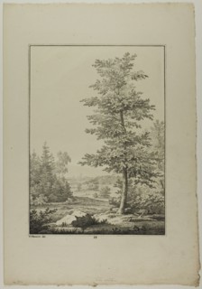 Plate 29 from Blatt Baum und Landschafts Studien, c.1810. Creator: Lorenz Ekemann Alesson.