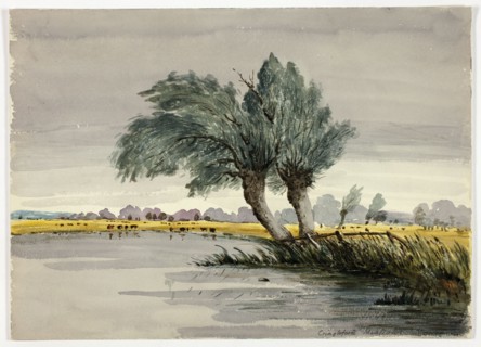 Cringleford Meadows-Morning, n.d. Creator: Unknown.
