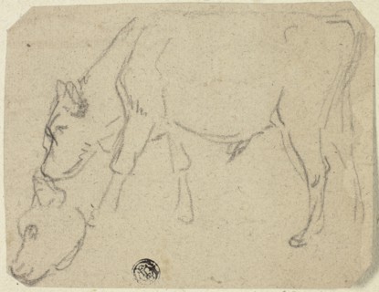 Sketches of Grazing Bull, Cow's Head (recto); Seated Cow in Profile (verso), n.d. Creator: Unknown.