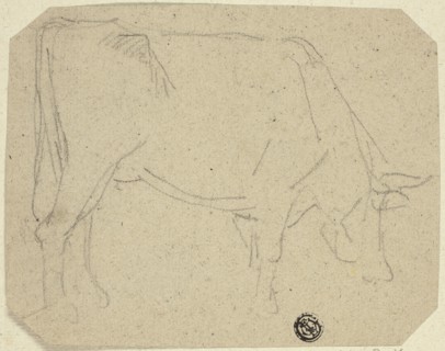 Grazing Cow (Turned to Right) (recto); Hindquarters of a Horse (verso), n.d. Creator: Unknown.