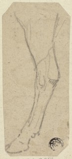 Cow's Leg, n.d. Creator: Unknown.