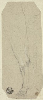 Cow's Leg, n.d. Creator: Unknown.