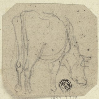Cow Grazing, n.d. Creator: Unknown.