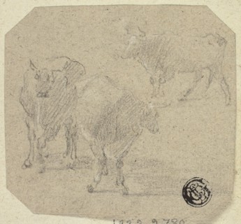 Three Cows, n.d. Creator: Unknown.