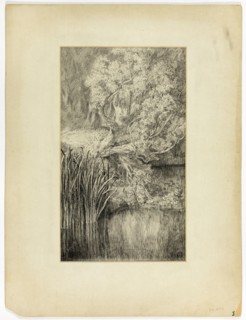Little Pond in Woods, n.d. Creator: Unknown.
