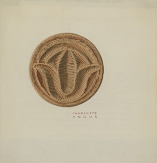 Pa. German Butter Mold, c. 1940. Creator: Charlotte Angus.