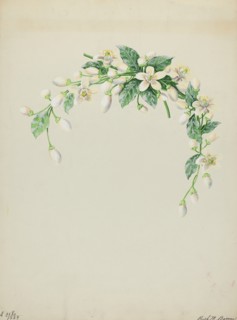 Costume Accessory (Orange Blossoms), c. 1937. Creator: Ruth M. Barnes.