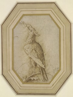 Bird on a Branch, ca. 1470-1480. Creator: Mantegna, Andrea (1431-1506).