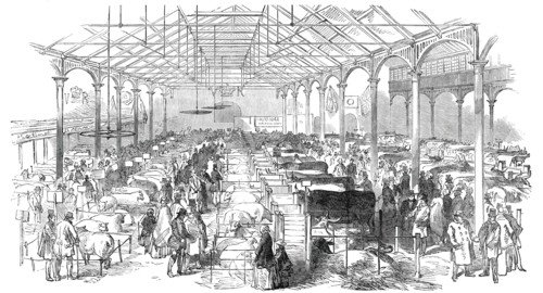 Exhibition of the Birmingham and Midland Counties Agricultural Association..., 1850. Creator: Unknown.