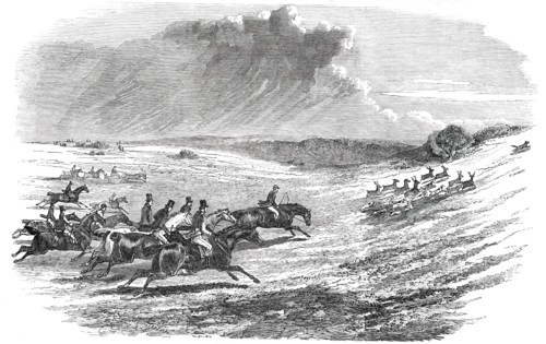 Chase of a Jackal, in the New Forest, 1850. Creator: Unknown.