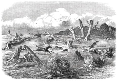 Full Cry, 1850. Creator: Unknown.