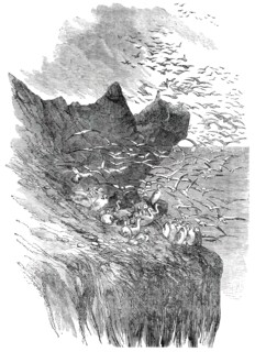 The Bass Rock, 1850. Creator: Unknown.