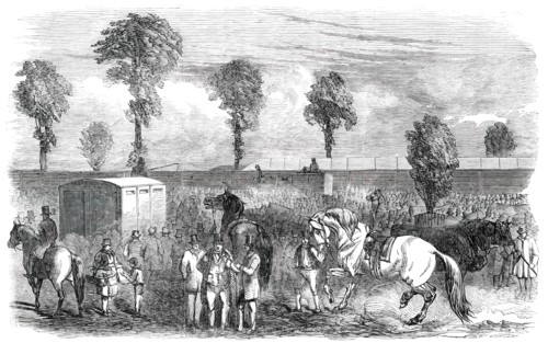 Royal Agricultural Society of England - Twelfth Annual Meeting and Exhibition, 1850. Creator: Unknown.