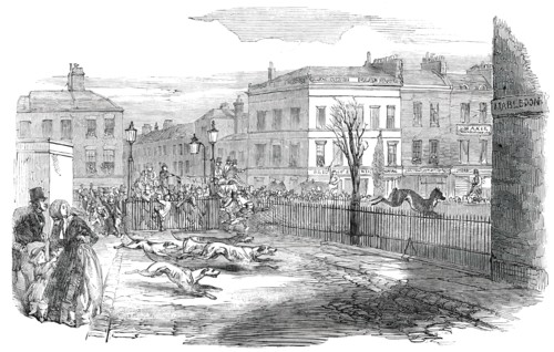 Stag Hunt in the New-Road on Tuesday, 1850. Creator: Unknown.