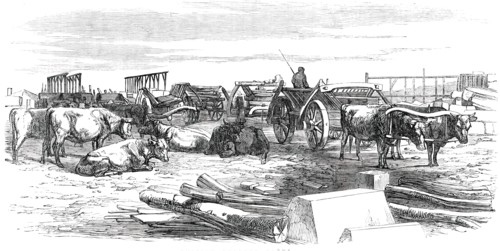 Russian Bullock Carts, 1850. Creator: Unknown.