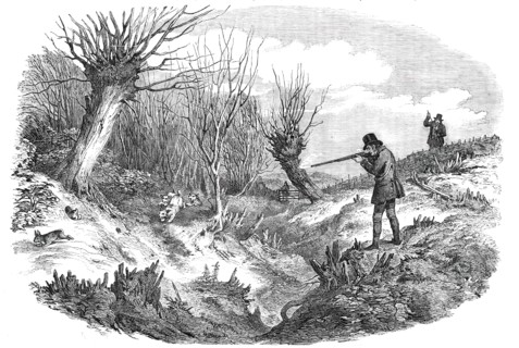 Rabbit-Shooting near Tunbridge - drawn by Duncan, 1850. Creator: Unknown.