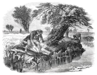 Sniggling for Eels - drawn by Duncan, 1850. Creator: Mason Jackson.
