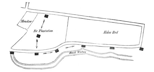 Map - Scene of the Explosion of the Hounslow Powder-Mill, 1850. Creator: Unknown.