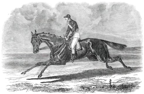 Rhedycina, Winner of the Oaks Stakes, at Epsom, 1850. Creator: Unknown.