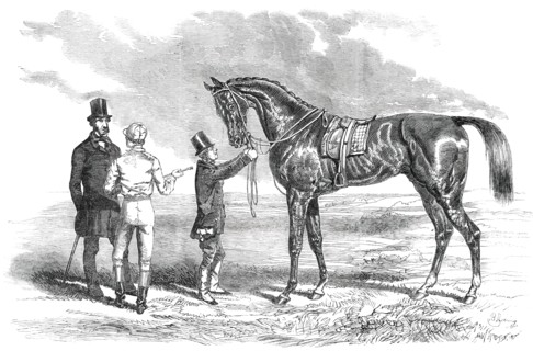 Wanota, Winner of the Ascot Stakes, 1850. Creator: Unknown.