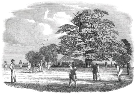 Cricket - drawn by Duncan, 1850. Creator: Duncan.