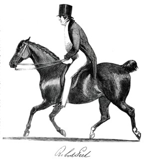 Robert Peel, 1850. Creator: Unknown.