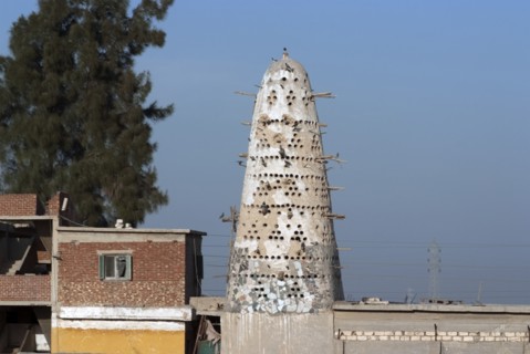 Dove Cots, Near Alexandria, Egypt, 2007. Creator: Ethel Davies.