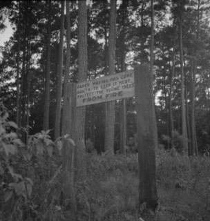 Roadsign, Fullerton, Louisiana, 1937. Creator: Dorothea Lange.