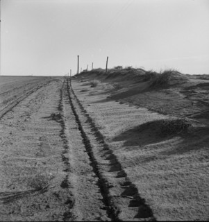 Sand drift along fence, Dust Bowl, north of Dalhart, Texas, 1938. Creator: Dorothea Lange.