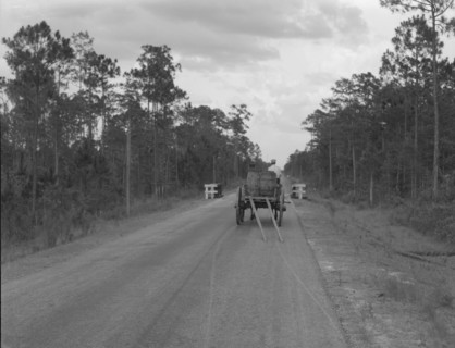 Wagon hauling turpentine out of the woods, Georgia, 1937. Creator: Dorothea Lange.