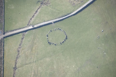 Sunkenkirk Stone Circle, Cumbria, 2016. Creator: Dave MacLeod.