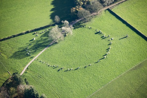 Long Meg and her Daughters, Cumbria, 2017. Creator: Emma Trevarthen.