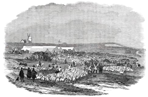 Lewes Great Sheep Fair, 1850. Creator: Unknown.