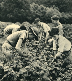 'Fruit Picking in War Time', 1944. Creator: Unknown.