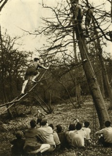 'Scouts Practising Pioneering', 1944. Creator: Unknown.