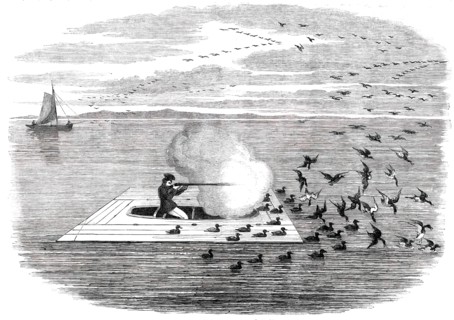 Wild Duck Shooting on the Potomac, 1850. Creator: Unknown.