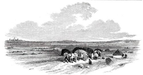 The Bog of Allen, from the Canal Side, 1850. Creator: Smyth.