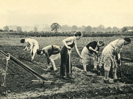 'Digging and Planting', 1943. Creator: Unknown.