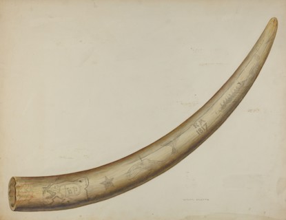 Scrimshaw: Walrus Tusk, 1941. Creator: Oscar Bluhme.