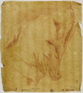 Head of a Dog, n.d. Creator: Bernard Baron.