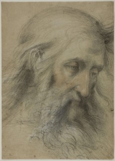 Head of Saint John the Evangelist: Study for the Disputation on the Immaculate..., 1531/36. Creator: Giovanni Antonio Sogliani.