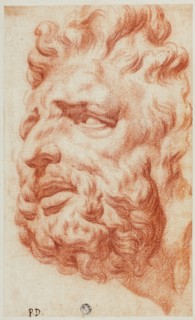 Head of Laocoon, n.d. Creator: Pietro Dandini.