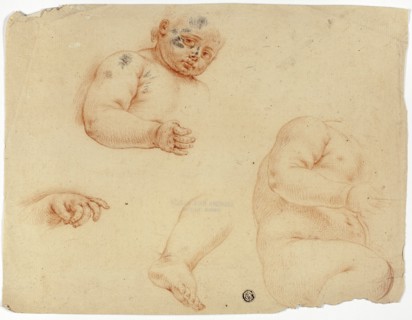 Sketches of a Child:  Half-Length, Torso, Foot, Hand, 1700/1799. Creator: Unknown.