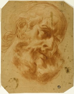 Bearded Head, n.d. Creator: Unknown.