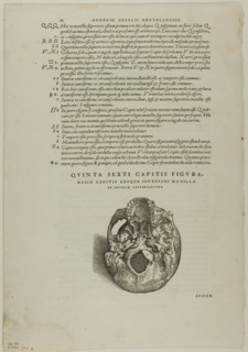 Leaf from De humani corporis fabrica (skull), plate 100 from Woodcuts from Books...1937. Creators: Johannes Stephan van Calcar, Max Geisberg.