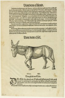 Illustration from "Thierbuch", plate 42 from Woodcuts from Books of the XVI Century...1937. Creators: Hans Asper, Max Geisberg.