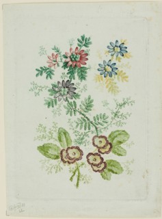 Flowers, 1796/1808. Creator: Anne Allen.